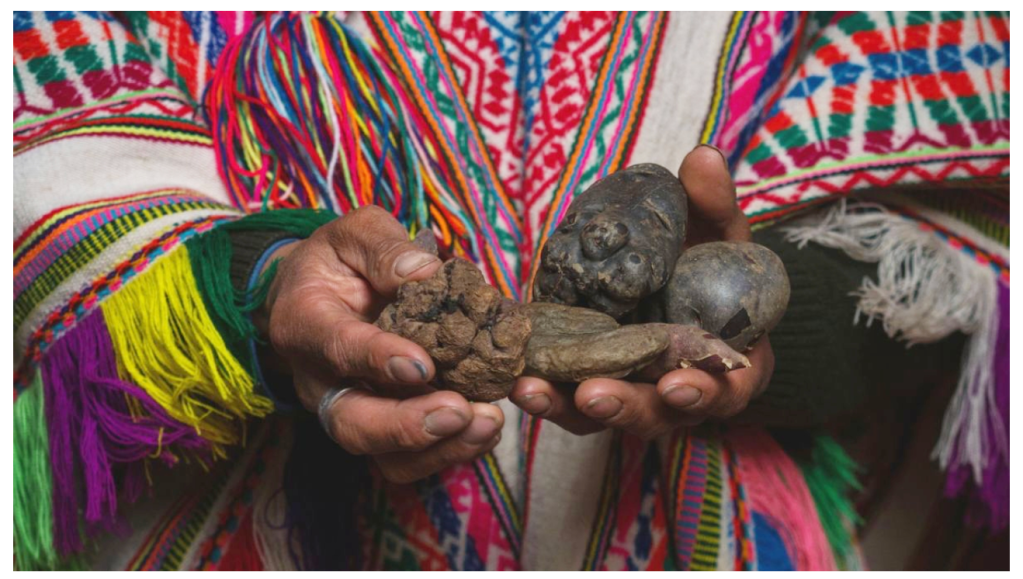 New Publication-“Rapid adaptive increase of amylase gene copy number in Indigenous&nbsp;Andeans”